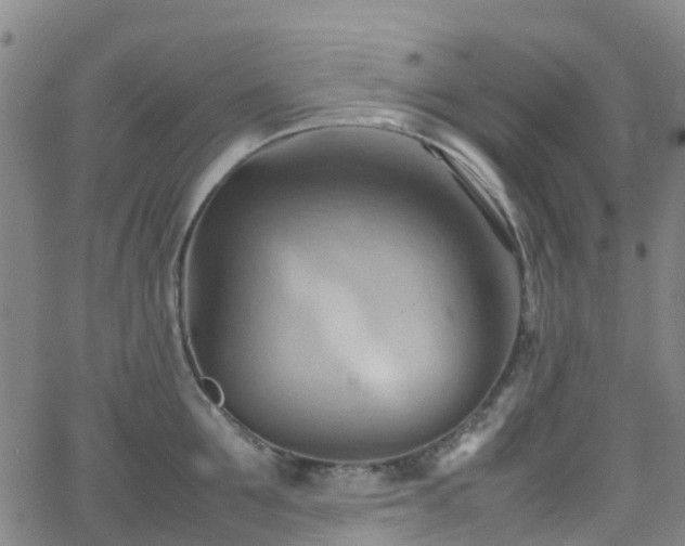 X0000064040907200601301145