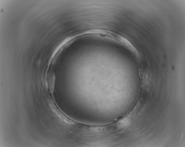 X0000064040908200601301145