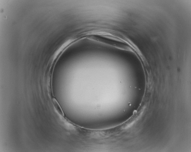 X0000064040909200601301145