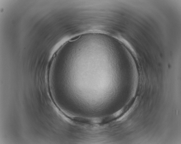 X0000064040910200601301145