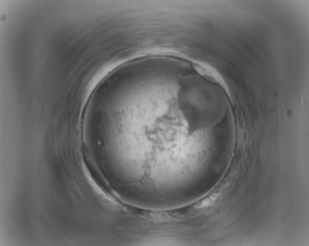 X0000064040911200601301145