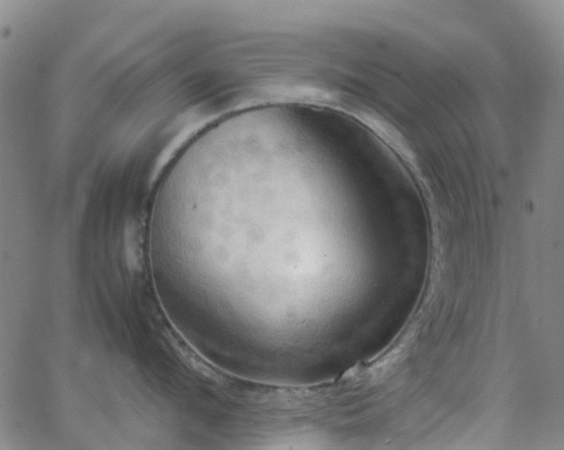 X0000064040912200601301145