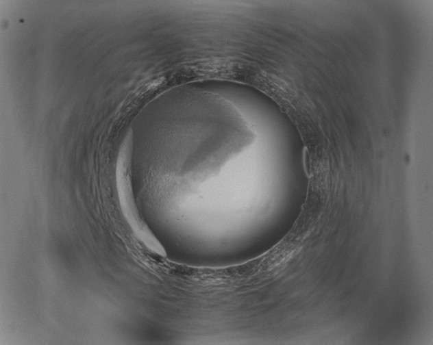 X0000064040913200601301144