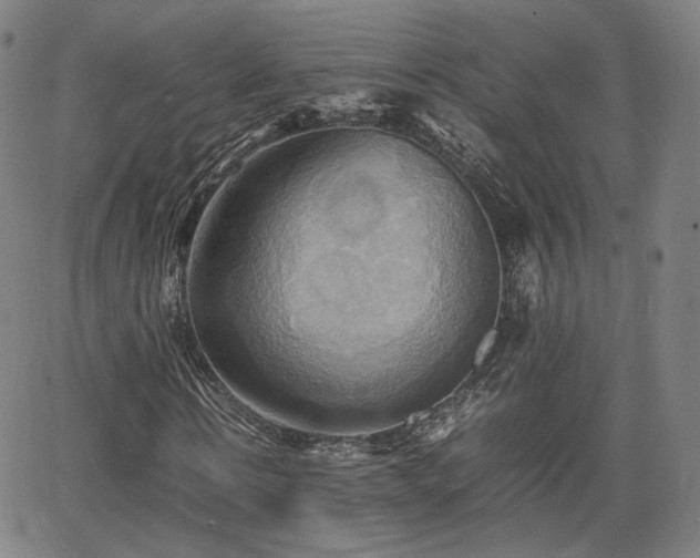 X0000064040914200601301144