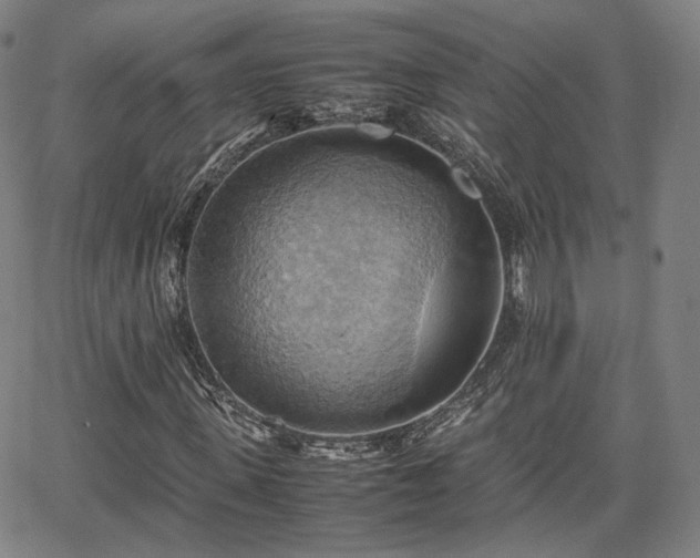 X0000064040915200601301144