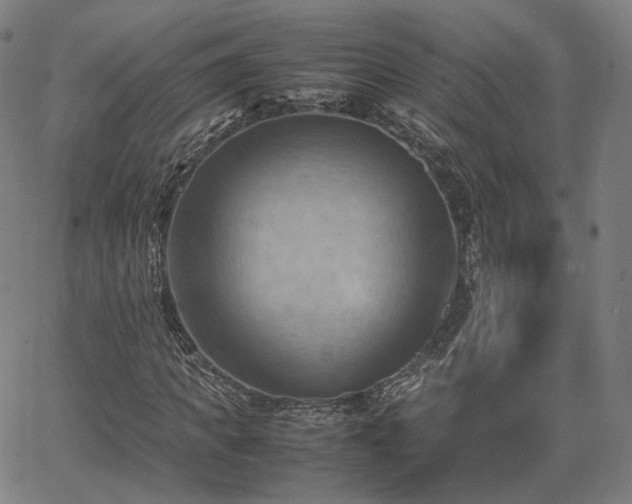 X0000064040917200601301145