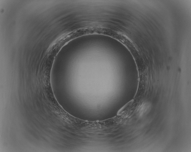 X0000064040919200601301145