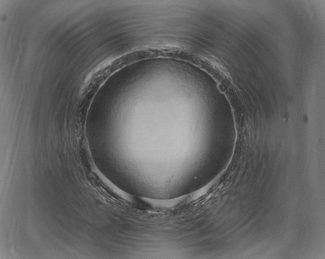 X0000064040920200601301145