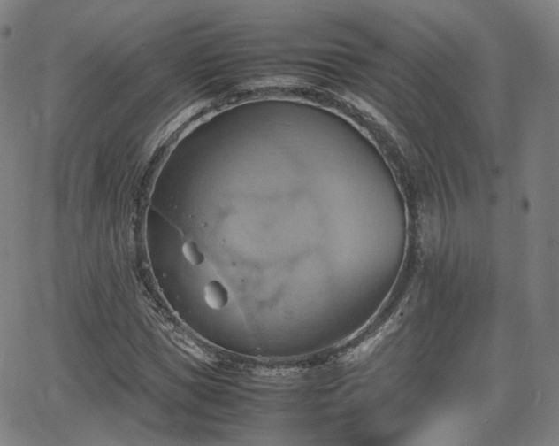 X0000064040921200601301145