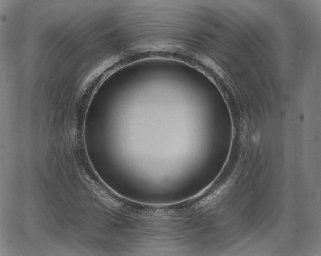 X0000064040922200601301145