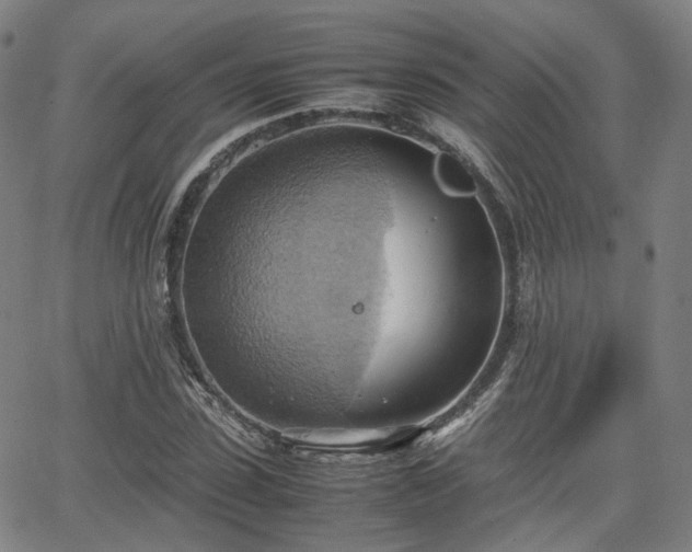 X0000064040923200601301145