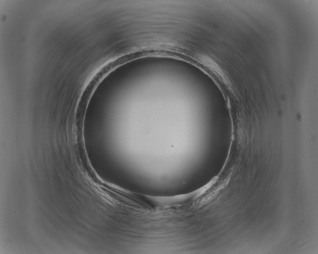 X0000064040924200601301145