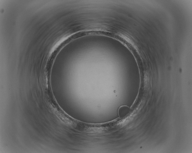 X0000064040925200601301145