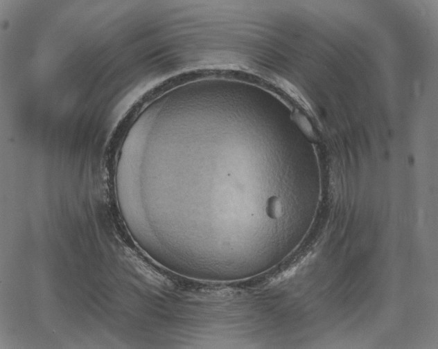 X0000064040926200601301145