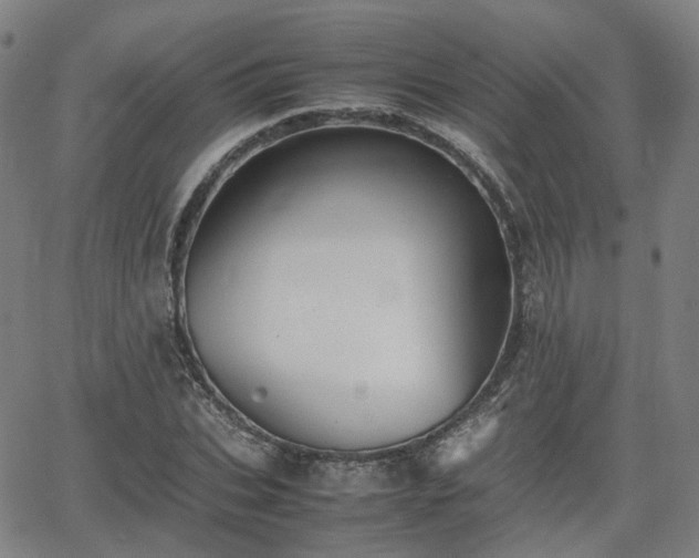 X0000064040927200601301145