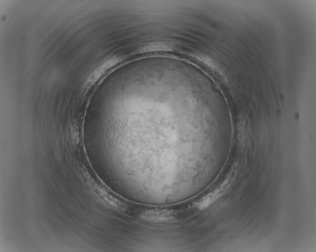 X0000064040929200601301145