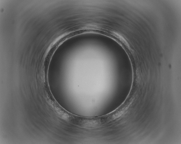 X0000064040931200601301145