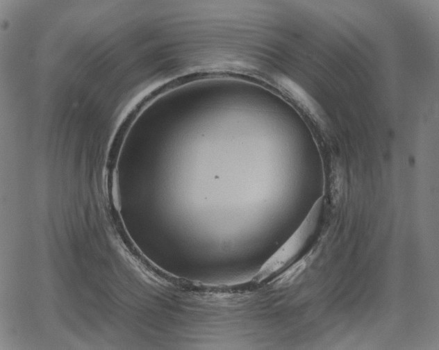 X0000064040932200601301145