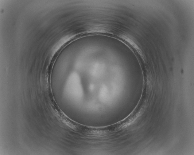 X0000064040933200601301145