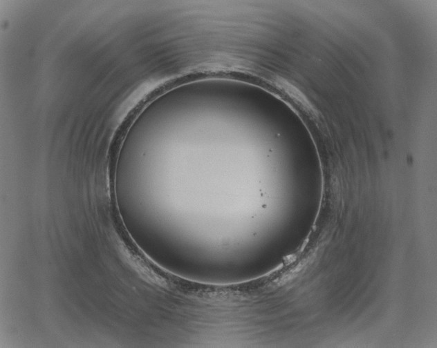 X0000064040934200601301145