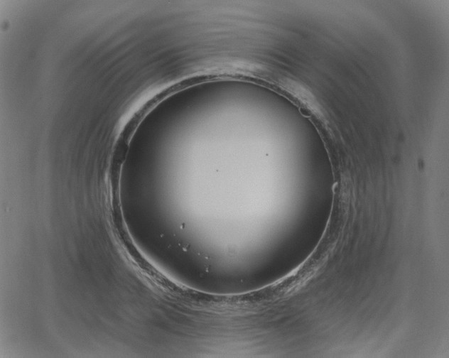 X0000064040936200601301145