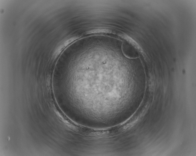 X0000064040937200601301145