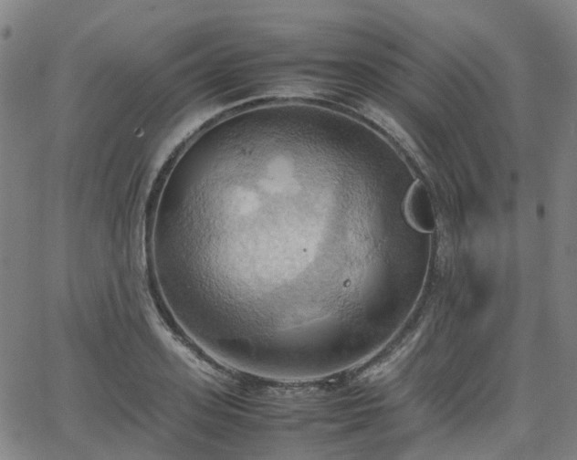 X0000064040939200601301145