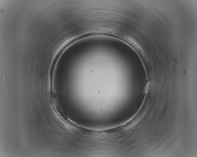 X0000064040940200601301145