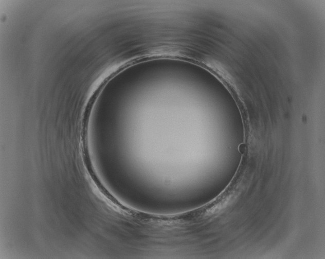 X0000064040941200601301145