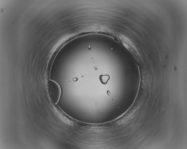 X0000064040942200601301145