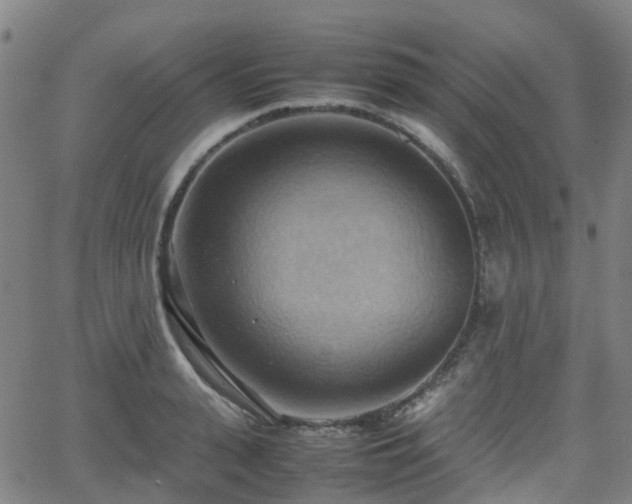 X0000064040943200601301145