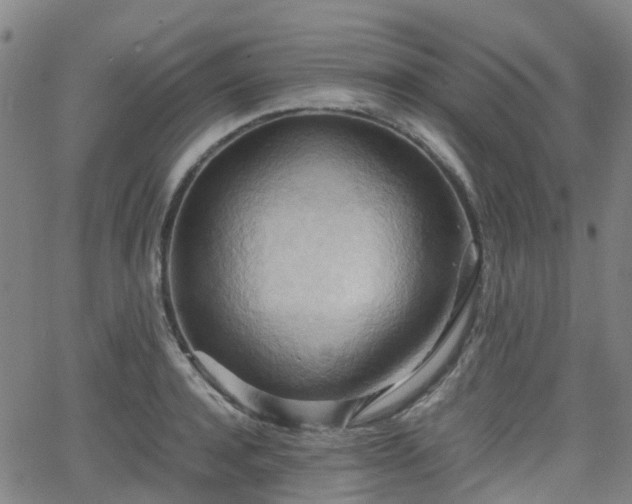 X0000064040944200601301145