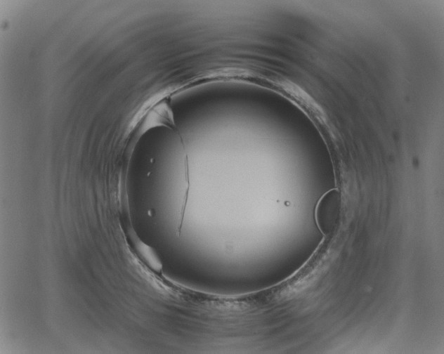 X0000064040945200601301145