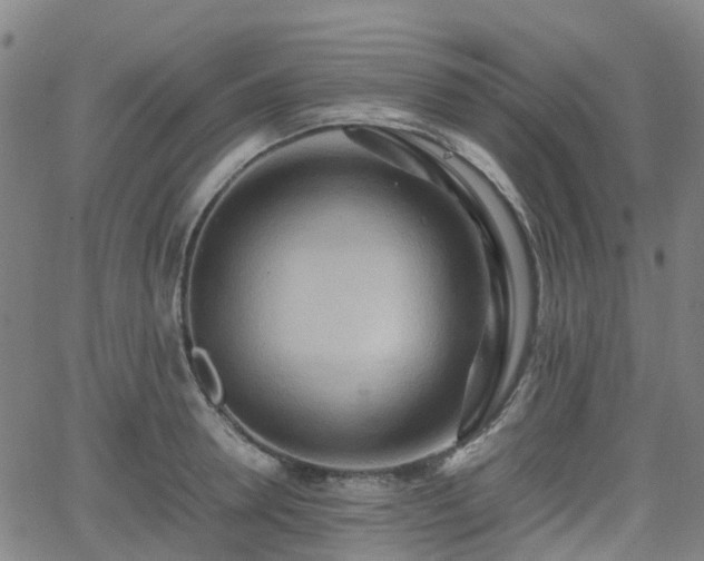 X0000064040946200601301145