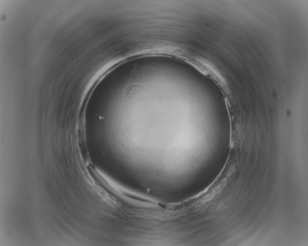 X0000064040948200601301145