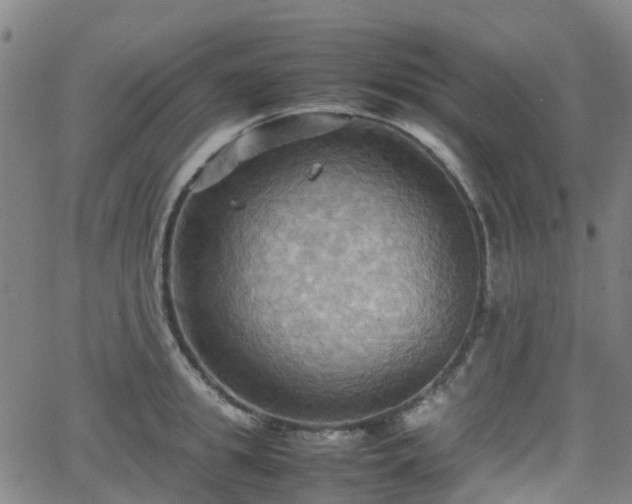 X0000064040949200601301145