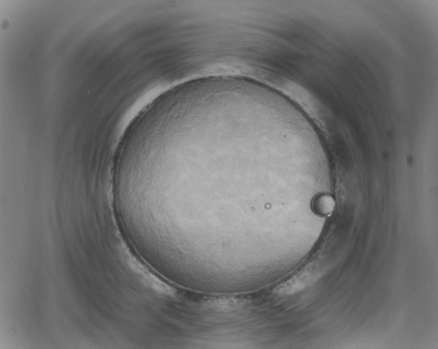 X0000064040950200601301145