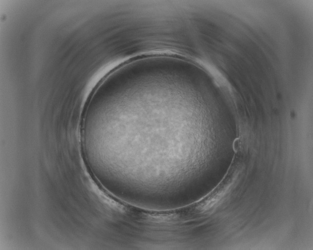 X0000064040951200601301145