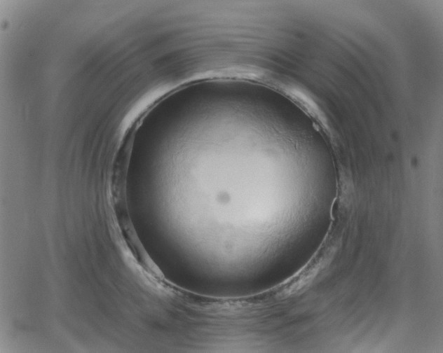 X0000064040952200601301145