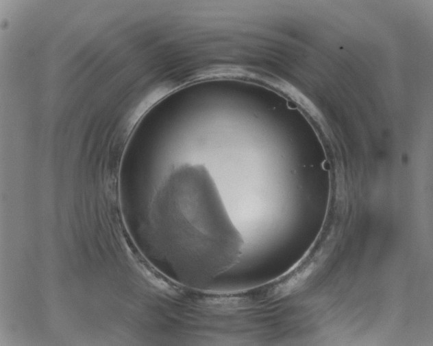 X0000064040953200601301145