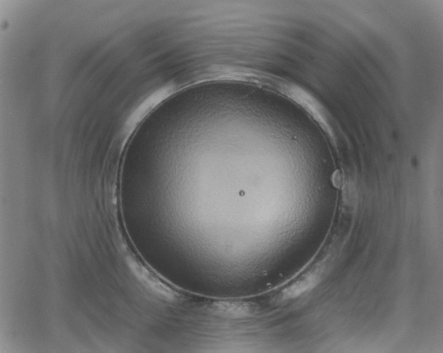 X0000064040954200601301145