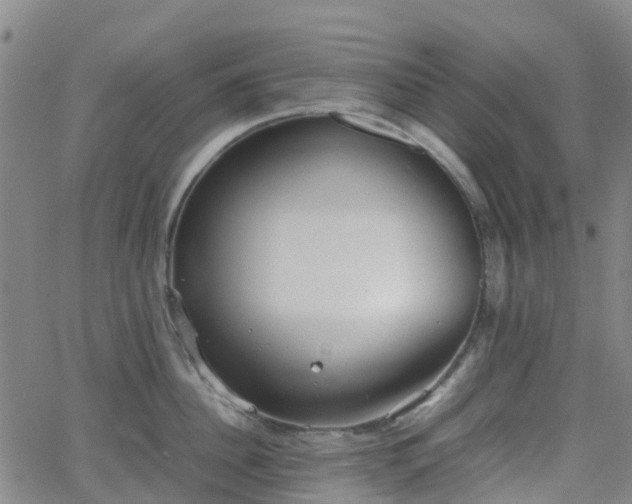 X0000064040956200601301145