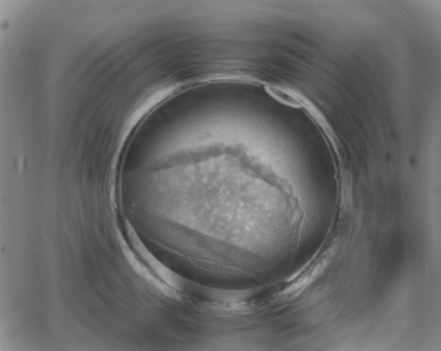 X0000064040957200601301145