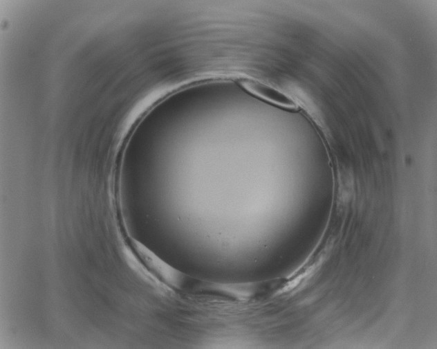 X0000064040958200601301145