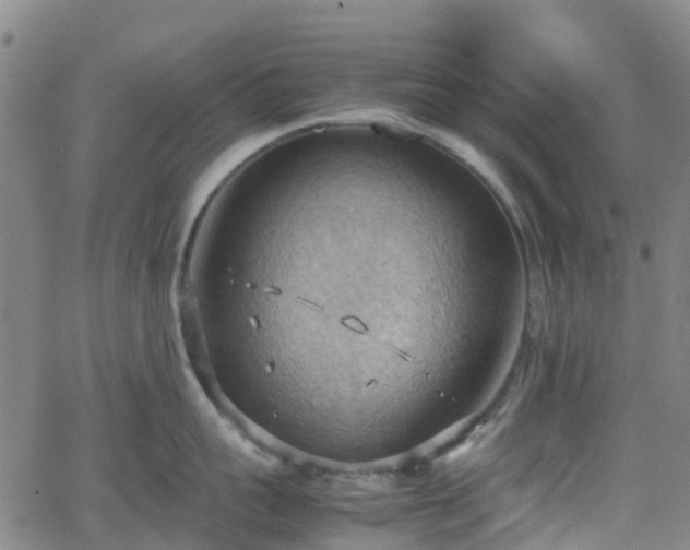 X0000064040959200601301145