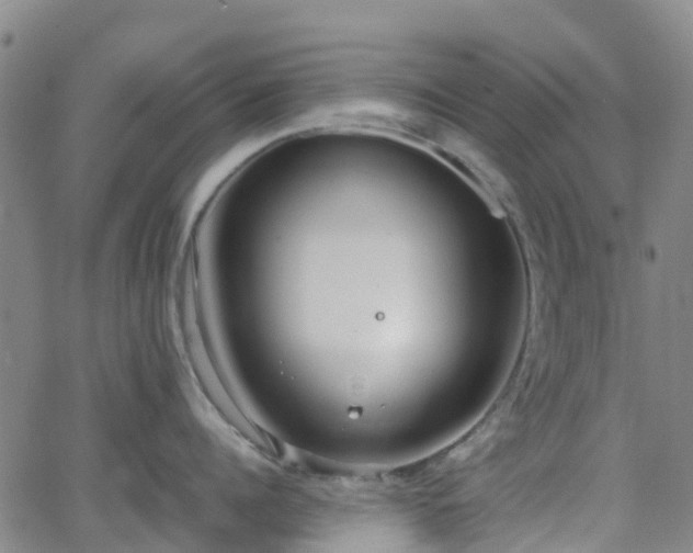 X0000064040960200601301145