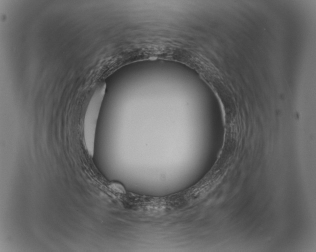 X0000064040961200601301144