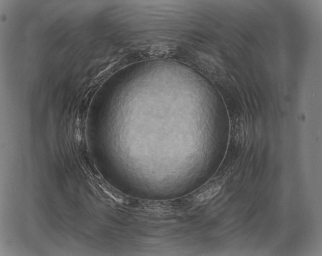 X0000064040962200601301144