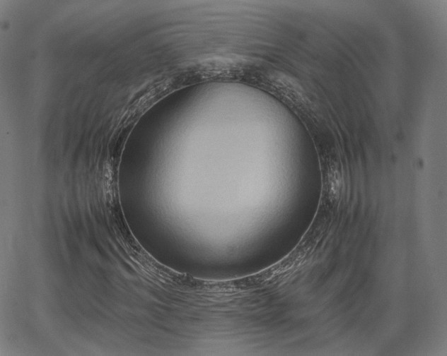 X0000064040964200601301144