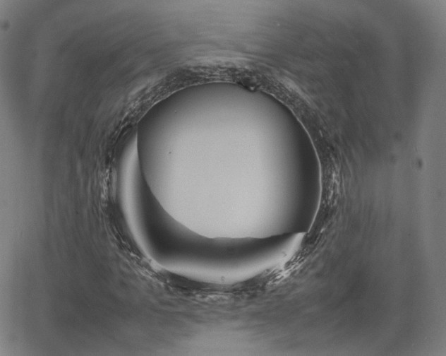 X0000064040965200601301144